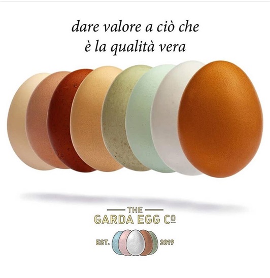 Lake Garda Eggs