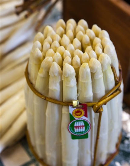 Leggi blog | White Asparagus From Bassano Del Grappa